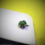 Antorà gemelli argento smalto rana - immagine 3