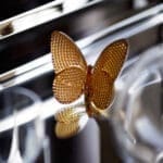 Baccarat Papillon Farfalla Portafortuna - immagine 2