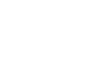 dodo-logo-bianco