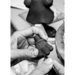 Lladró Scultura Minnie Total Black - immagine 8