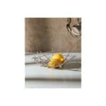 Alessi Cestino Blow up - immagine 2